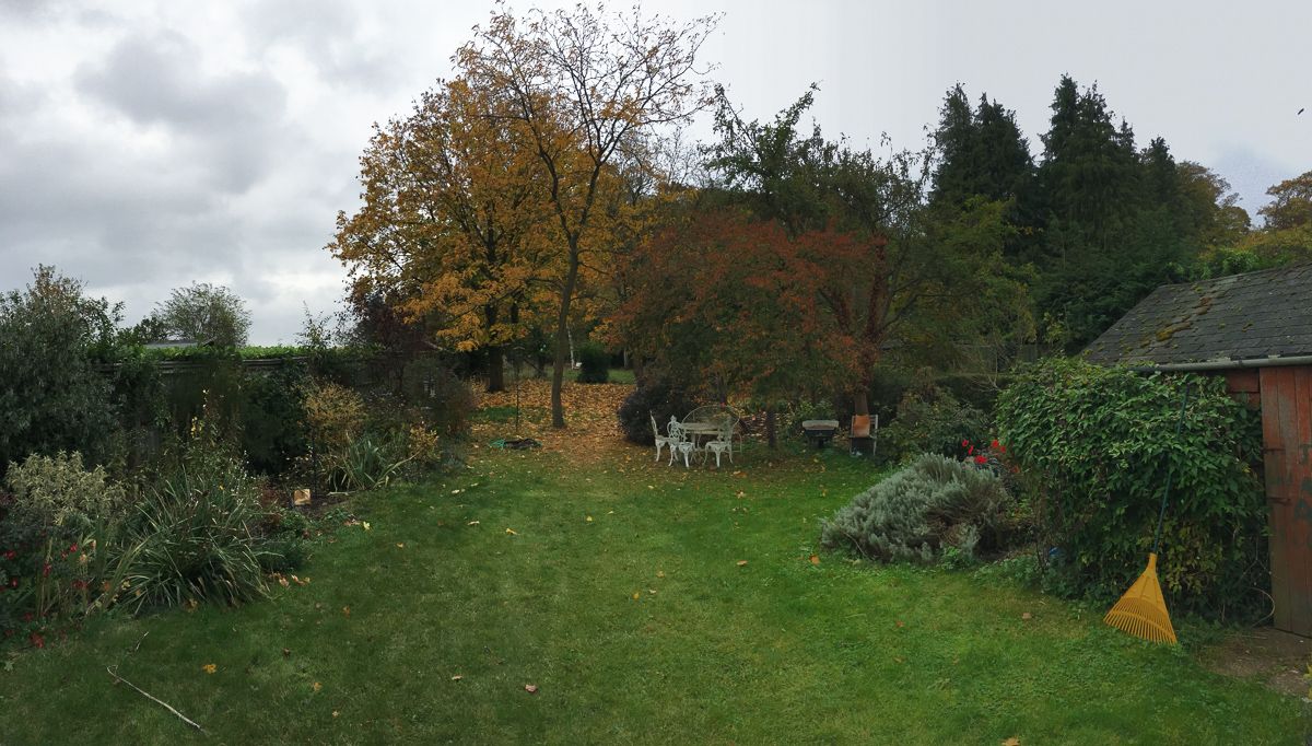 01 Looking Up the Garden